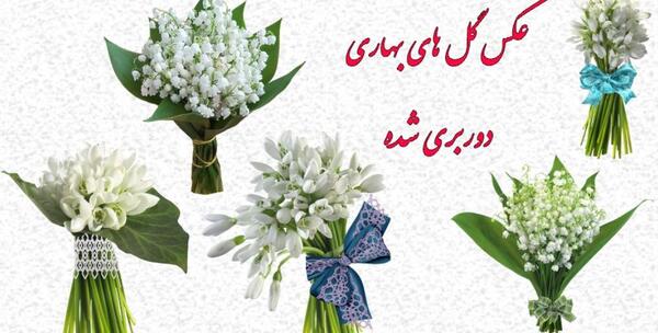 عکس های png با کیفیت