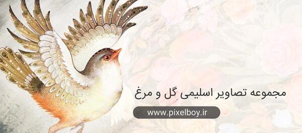 عکس های png با کیفیت