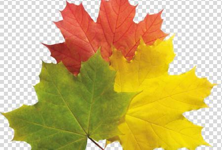 عکس های png با کیفیت