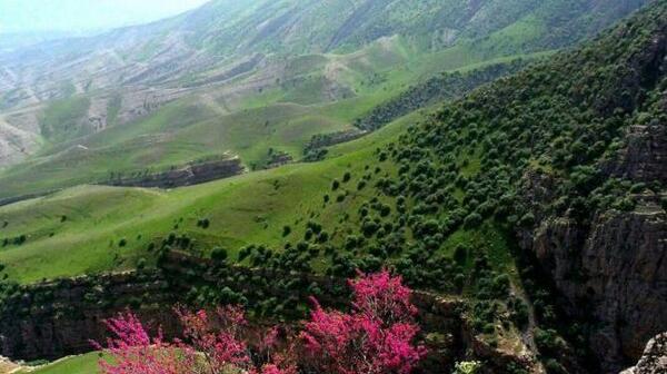 عکس دره های u شکل