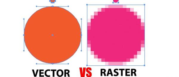 عکس های vector