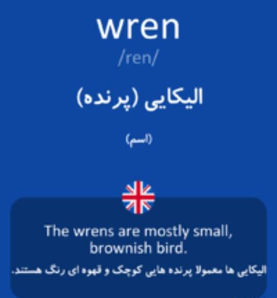 عکس های wren