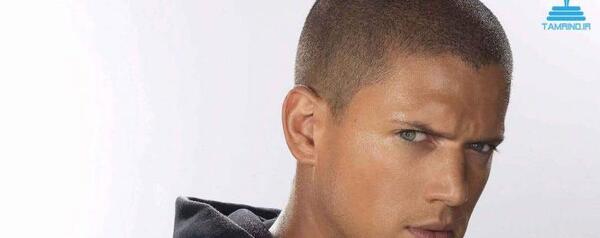 عکس های wentworth miller