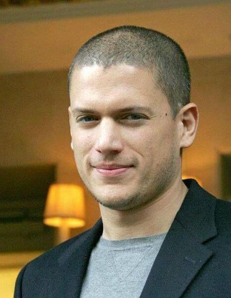 عکس های wentworth miller