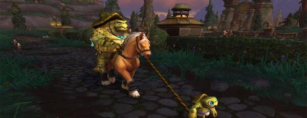 عکس های world of warcraft