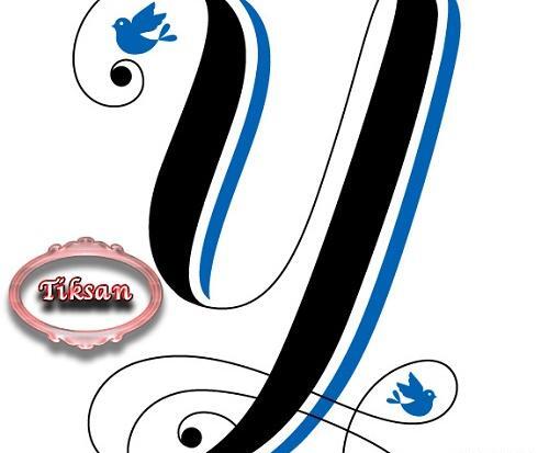 عکس های y