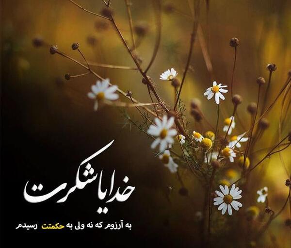 عکس جدید خدایا شکرت