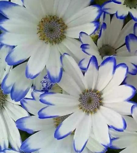 عکس جدید صفحه زمینه