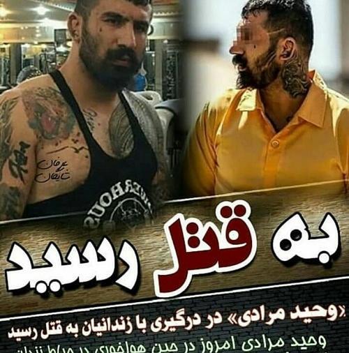 عکس جدید طوفان مرادی