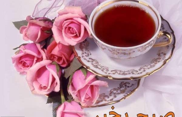 عکس جدید ظهر بخیر