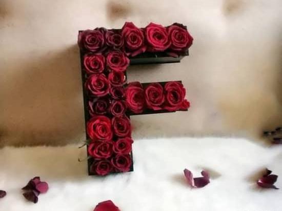 عکس های جدید f
