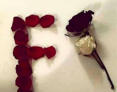 عکس حرف f جدید