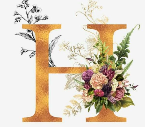 عکس جدید h