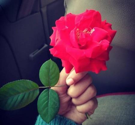 عکس جدید rose