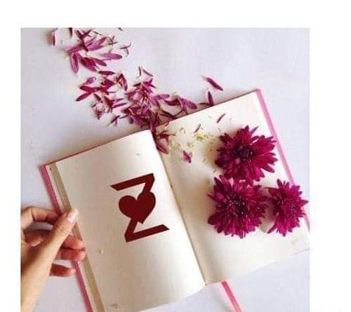 عکس پروفایل z جدید