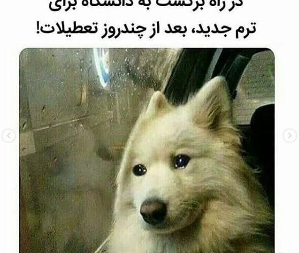 عکس سم جدید خنده دار