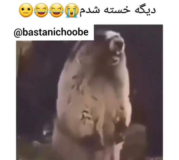 عکس سم جدید خنده دار