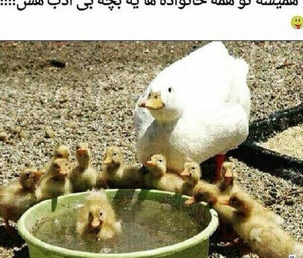 عکس اینستا خنده دار
