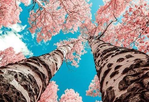 عکس اینستاگرام طبیعت