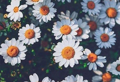 عکس اینستاگرام طبیعت