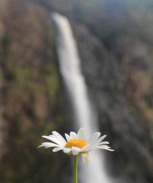 عکس طبیعت اینستا
