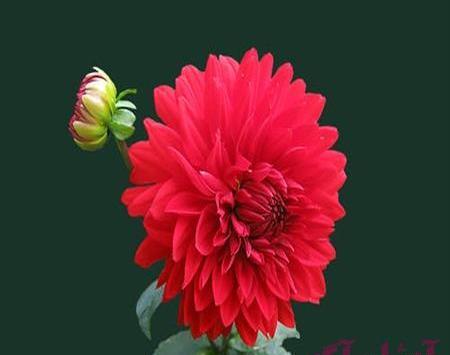 عکس طبیعی اینستا