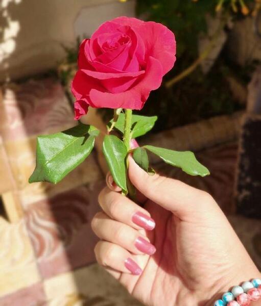 عکس اینستا گل