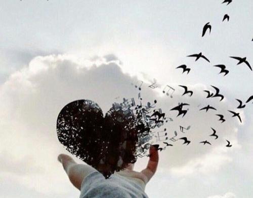 عکس اینستا هنری