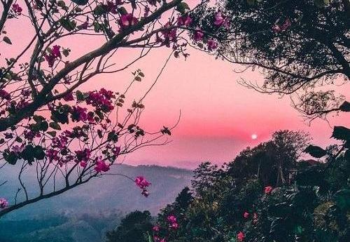 عکس پروفایل اینستا طبیعت
