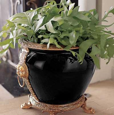 عکس گلدانه