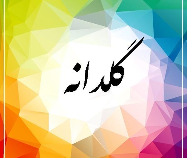 عکس گلدانه