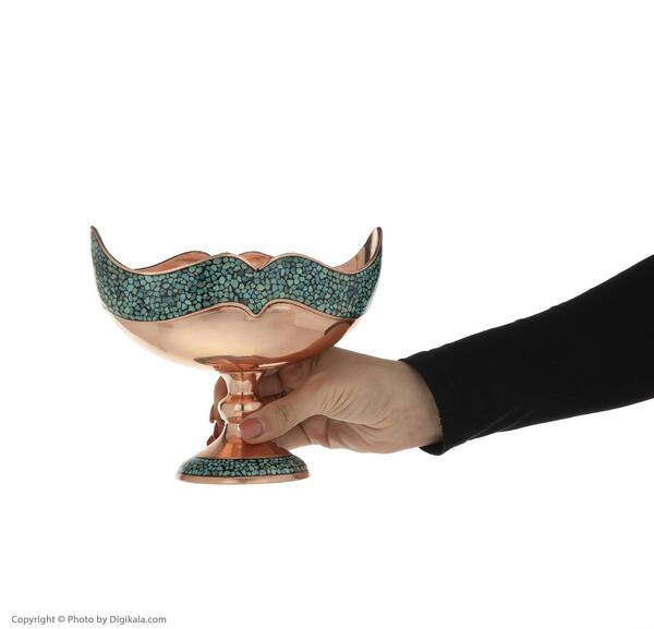عکس فیروزه تقی‌پور