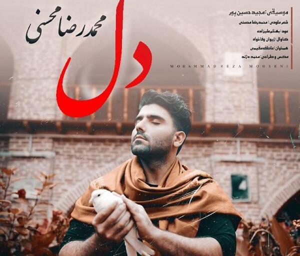 عکس سیاوش محسنی