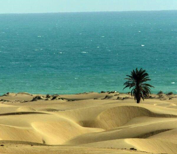 عکس صحرا