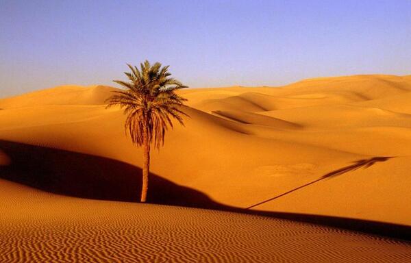 عکس صحرا