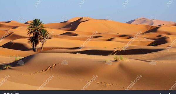 عکس صحرا