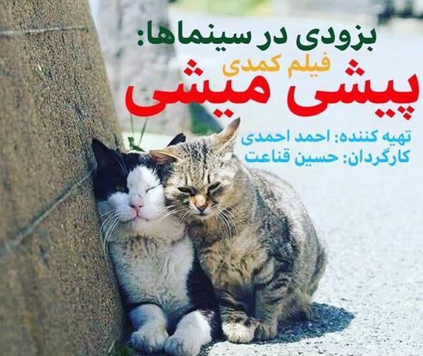 عکس فیلم پیشی میشی