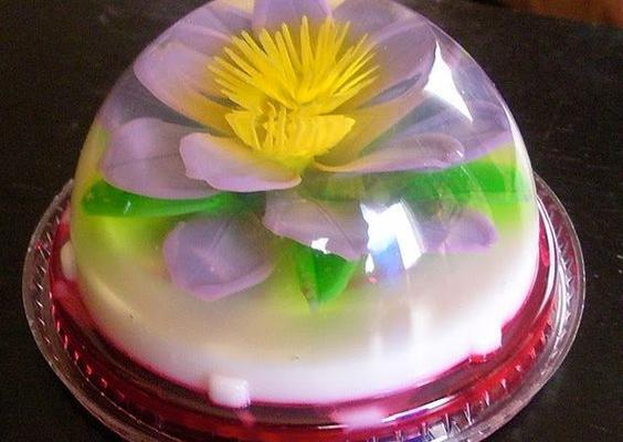فیلم عکس ژله