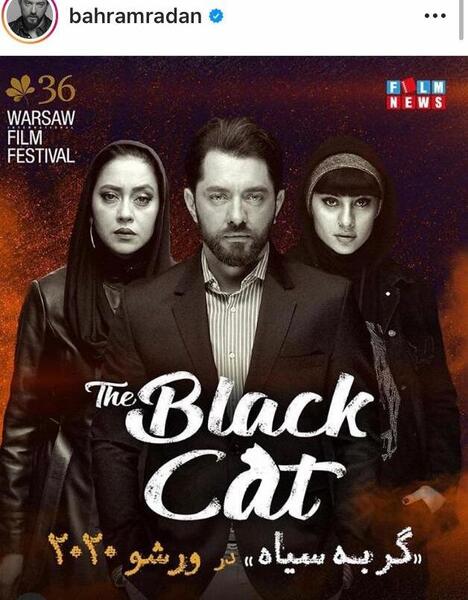 عکس فیلم گربه سیاه