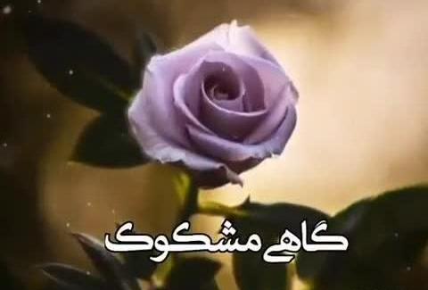 عکس فیلم وضعیت