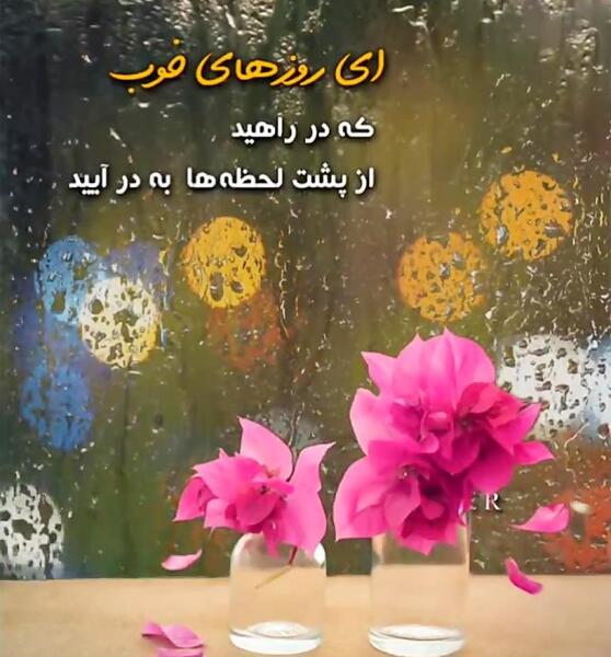 عکس فیلم وضعیت
