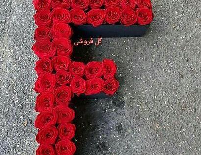 فیلم عکس نوشته f