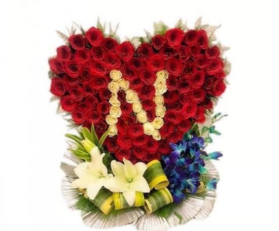 فیلم عکس n