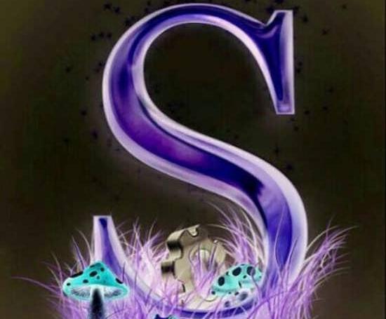 فیلم عکس نوشته s