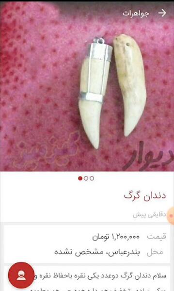 عکس سوتی آگهی دیوار