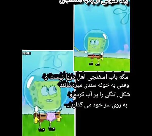 عکس سوتی باب اسفنجی