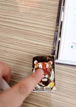 عکس سوتی چه توضیحاتی عزیزم