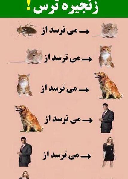 عکس سوتی طنز
