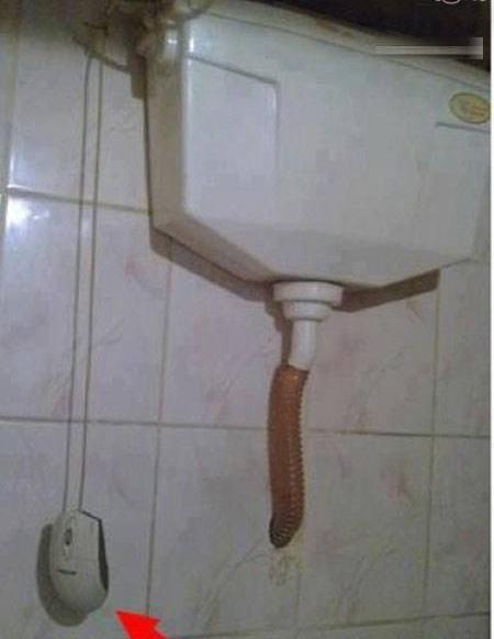 عکس سوتی طنز خنده دار