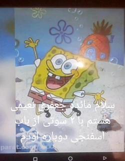 عکس سوتی فیلم باب اسفنجی